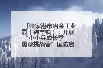 张家港市冶金工业园（锦丰镇）：开展“小小兵成长季——勇敢挑战营”国防启蒙教育活动