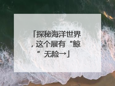 探秘海洋世界，这个展有“鲸”无险→