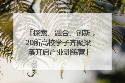 探索、融合、创新，20所高校学子齐聚梁溪开启产业训练营