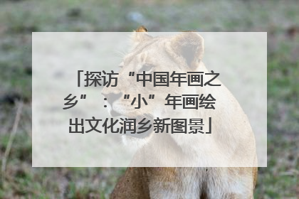 探访“中国年画之乡”：“小”年画绘出文化润乡新图景
