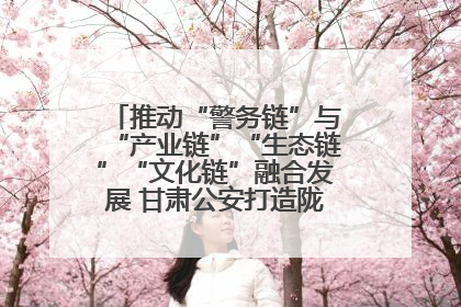 推动“警务链”与“产业链”“生态链”“文化链”融合发展 甘肃公安打造陇原旅游警务品牌