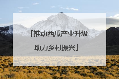 推动西瓜产业升级 助力乡村振兴