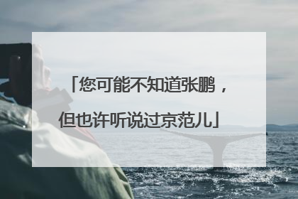 您可能不知道张鹏，但也许听说过京范儿