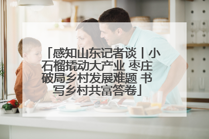 感知山东记者谈丨小石榴撬动大产业 枣庄破局乡村发展难题 书写乡村共富答卷