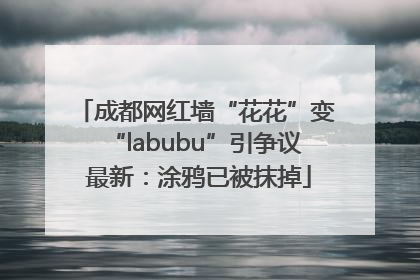成都网红墙“花花”变“labubu”引争议 最新：涂鸦已被抹掉