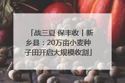 战三夏 保丰收丨新乡县：20万亩小麦种子田开启大规模收割