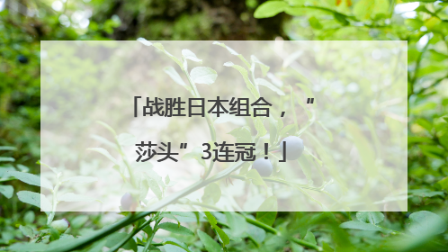 战胜日本组合，“莎头”3连冠！