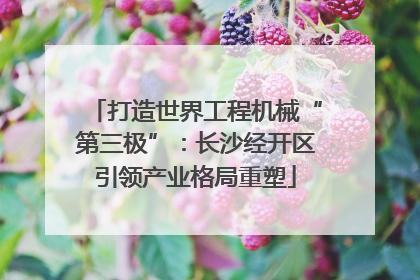 打造世界工程机械“第三极”：长沙经开区引领产业格局重塑