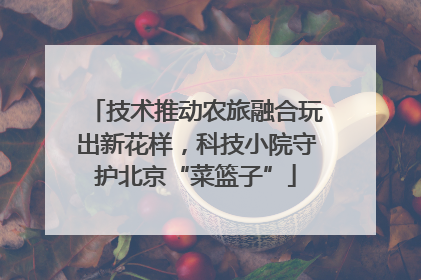 技术推动农旅融合玩出新花样，科技小院守护北京“菜篮子”