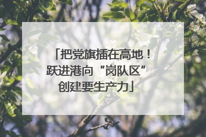 把党旗插在高地！跃进港向“岗队区”创建要生产力