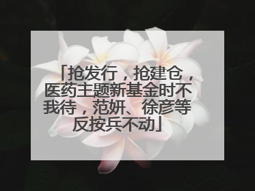 抢发行，抢建仓，医药主题新基金时不我待，范妍、徐彦等反按兵不动