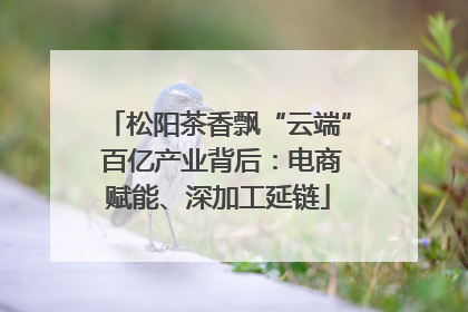 松阳茶香飘“云端” 百亿产业背后：电商赋能、深加工延链