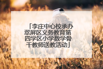 李庄中心校承办翠屏区义务教育第四学区小学数学骨干教师送教活动