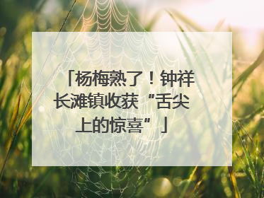 杨梅熟了！钟祥长滩镇收获“舌尖上的惊喜”