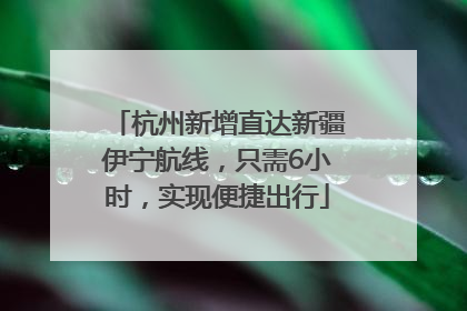 杭州新增直达新疆伊宁航线，只需6小时，实现便捷出行