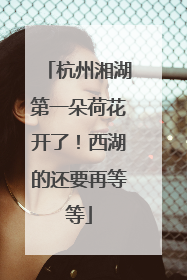 杭州湘湖第一朵荷花开了！西湖的还要再等等