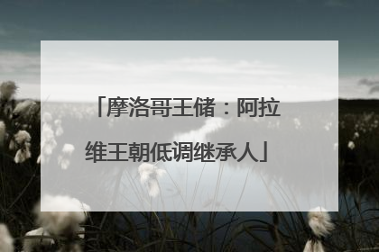 摩洛哥王储：阿拉维王朝低调继承人