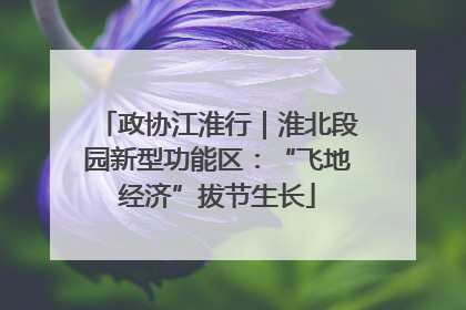 政协江淮行｜淮北段园新型功能区：“飞地经济”拔节生长