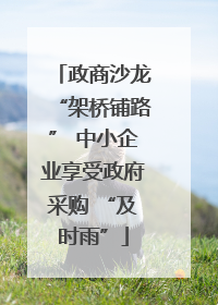 政商沙龙“架桥铺路” 中小企业享受政府采购 “及时雨”