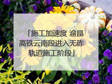 施工加速度 渝昆高铁云南段进入无砟轨道施工阶段
