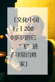 文化中国行丨2000多岁的它，“飞”进了寻常百姓家