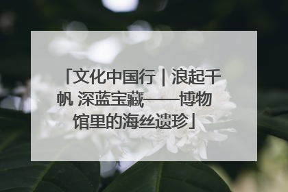 文化中国行｜浪起千帆 深蓝宝藏——博物馆里的海丝遗珍