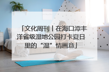 文化周刊丨在海口潭丰洋省级湿地公园打卡夏日里的“湿”情画意