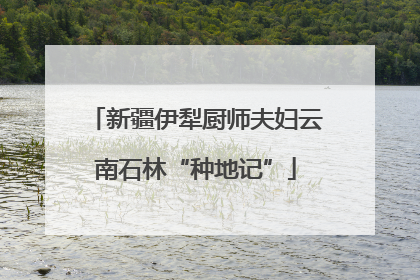 新疆伊犁厨师夫妇云南石林“种地记”