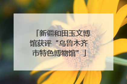 新疆和田玉文博馆获评“乌鲁木齐市特色博物馆”