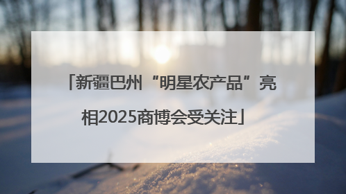 新疆巴州“明星农产品”亮相2025商博会受关注