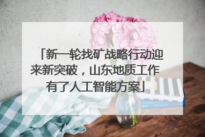 新一轮找矿战略行动迎来新突破，山东地质工作有了人工智能方案
