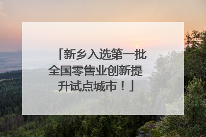 新乡入选第一批全国零售业创新提升试点城市！