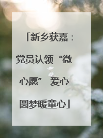 新乡获嘉：党员认领“微心愿” 爱心圆梦暖童心