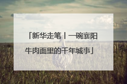 新华走笔丨一碗襄阳牛肉面里的千年城事