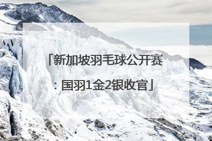 新加坡羽毛球公开赛：国羽1金2银收官