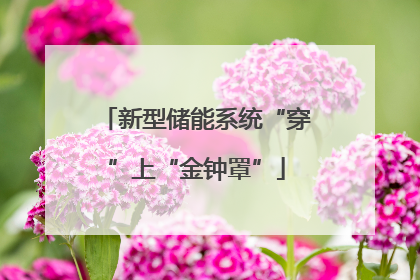 新型储能系统“穿”上“金钟罩”