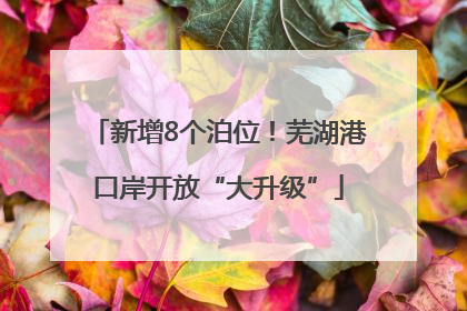 新增8个泊位！芜湖港口岸开放“大升级”