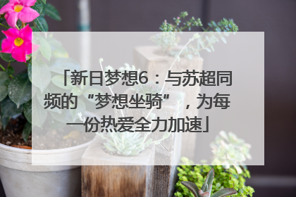 新日梦想6：与苏超同频的“梦想坐骑”，为每一份热爱全力加速