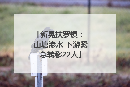 新晃扶罗镇：一山塘渗水 下游紧急转移22人