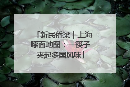 新民侨梁｜上海嗦面地图：一筷子夹起多国风味