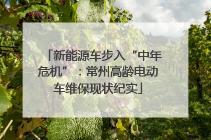 新能源车步入“中年危机”：常州高龄电动车维保现状纪实
