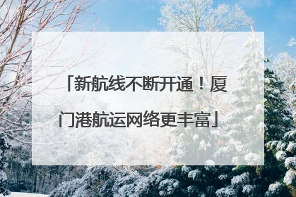 新航线不断开通！厦门港航运网络更丰富