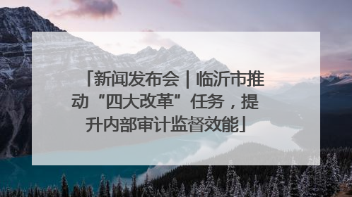 新闻发布会｜临沂市推动“四大改革”任务，提升内部审计监督效能