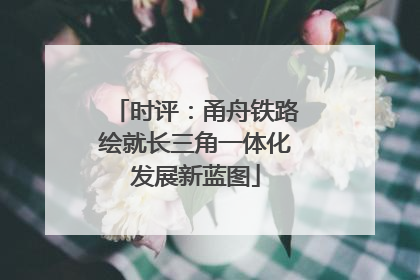 时评：甬舟铁路绘就长三角一体化发展新蓝图
