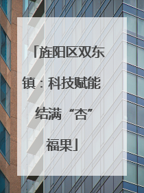 旌阳区双东镇：科技赋能 结满“杏”福果