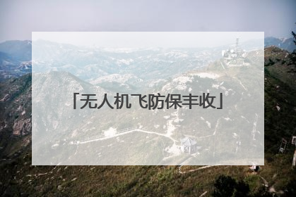 无人机飞防保丰收