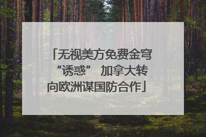 无视美方免费金穹“诱惑” 加拿大转向欧洲谋国防合作