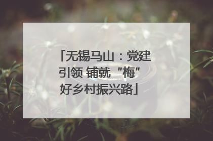 无锡马山：党建引领 铺就“梅”好乡村振兴路