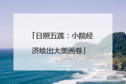 日照五莲：小院经济绘出大美画卷