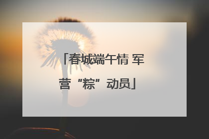 春城端午情 军营“粽”动员